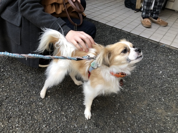 b0377882_11273068.jpeg