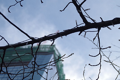 b0056983_15341671.jpg