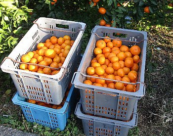 f0003283_08250645.jpg