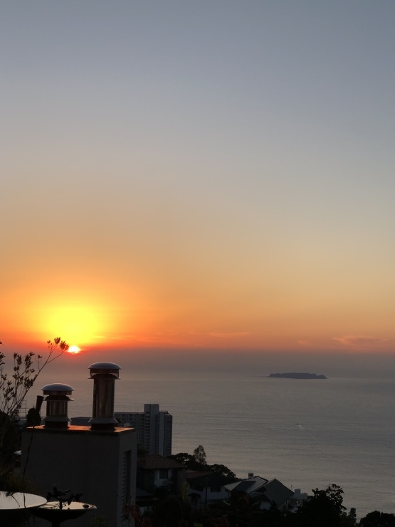 2018年11月26日 今日はどこ 私は誰？_b0098584_21192683.jpeg