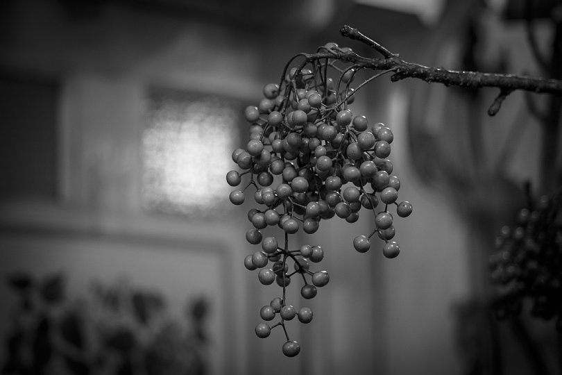 b0403692_21171133.jpg