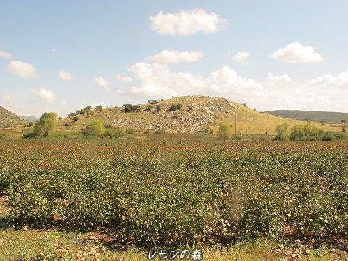 c0010496_02460001.jpg