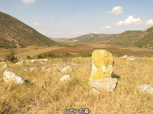 c0010496_03212515.jpg
