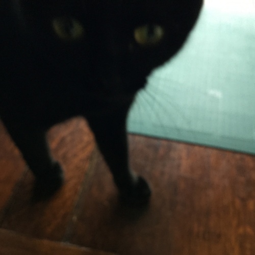 ぼんやりだけど_e0358096_19480785.jpeg