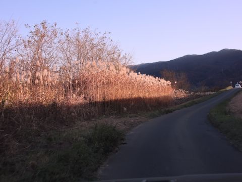c0090198_18394139.jpg