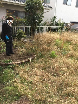 f0372998_18572384.jpg