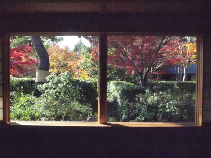 昭和記念公園は何年ぶりだろう･･･････_b0331802_01255878.jpg