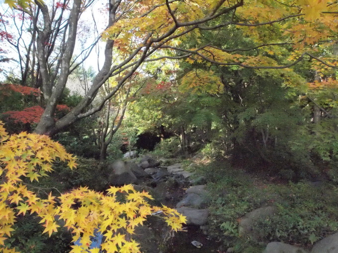 昭和記念公園は何年ぶりだろう･･･････_b0331802_01264309.jpg