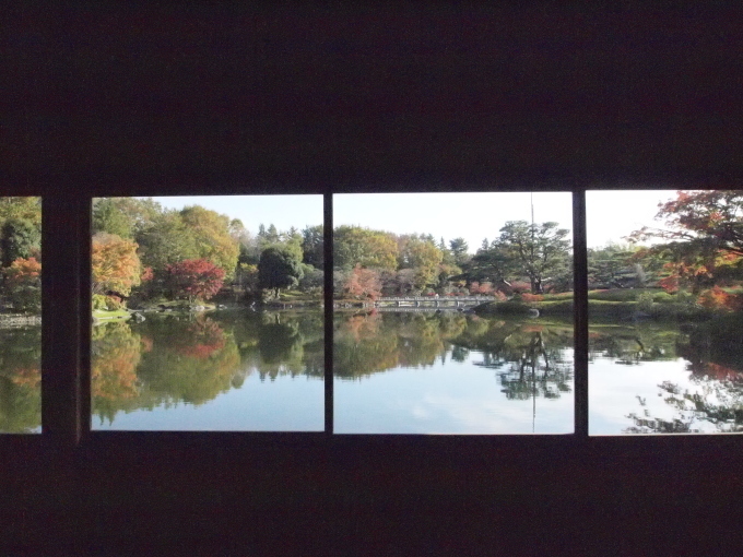 昭和記念公園は何年ぶりだろう･･･････_b0331802_01265577.jpg