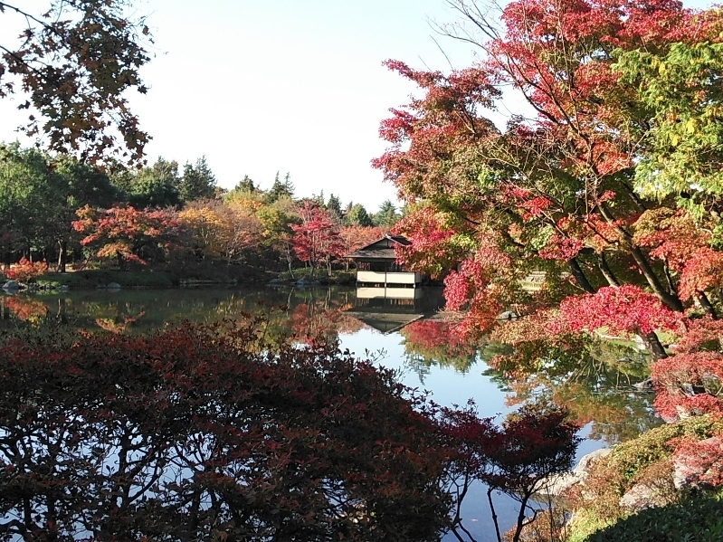 昭和記念公園は何年ぶりだろう･･･････_b0331802_01334696.jpg