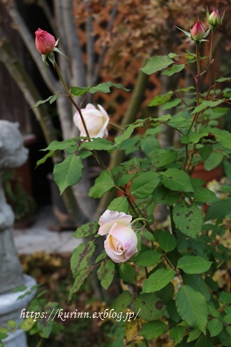a0123003_22144795.jpg