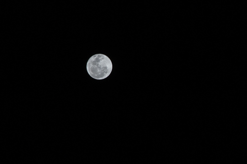 c0367403_02100931.jpg