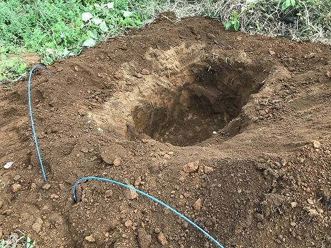 e0270403_11452431.jpg