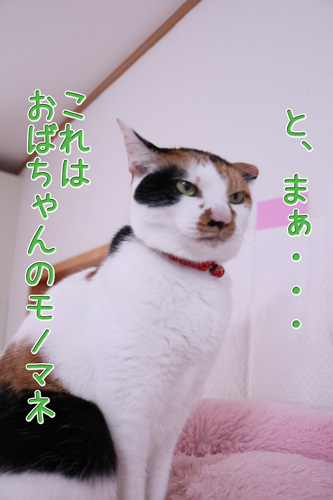 e0072606_19204028.jpg