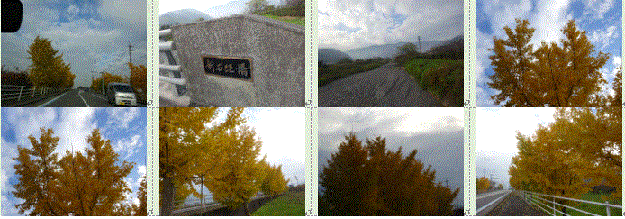 f0231709_21034433.gif
