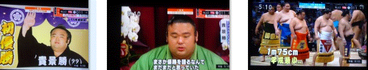 f0231709_22272016.gif