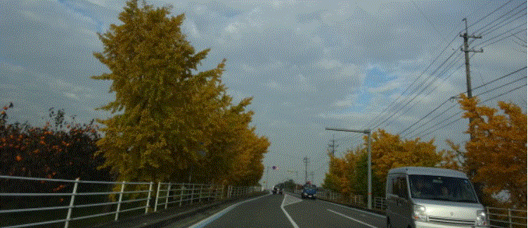 f0231709_22335376.gif