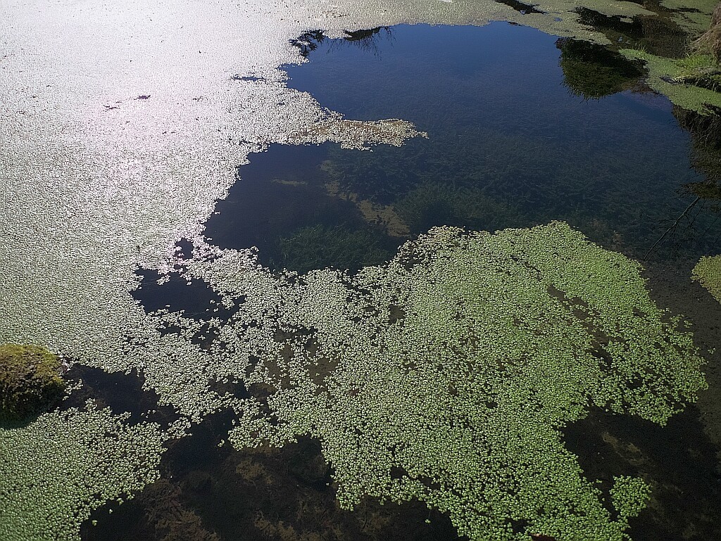 e0364711_22253031.jpg