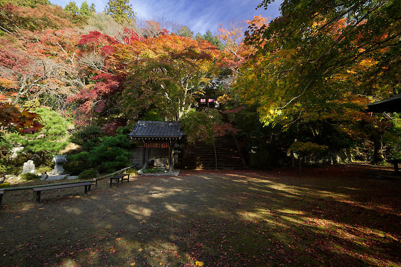 2018京都の紅葉・洛西 金蔵寺 其の一_f0032011_20563764.jpg