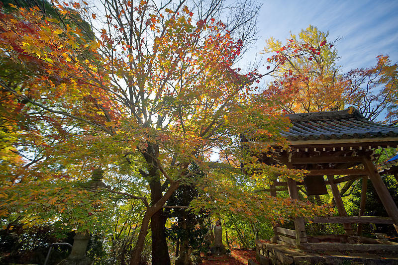 2018京都の紅葉・洛西 金蔵寺 其の一_f0032011_21033000.jpg