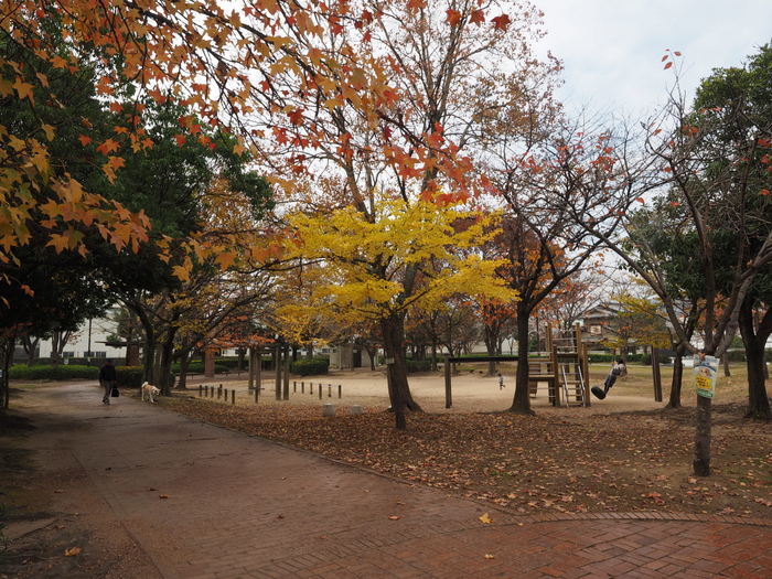 佐伯区民文化センター&五日市中央公園_c0116915_23485825.jpg