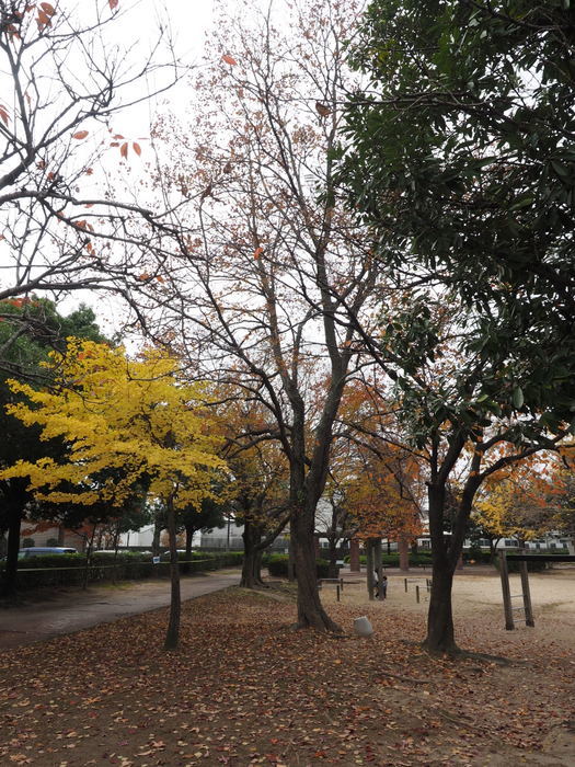 佐伯区民文化センター&五日市中央公園_c0116915_23495027.jpg