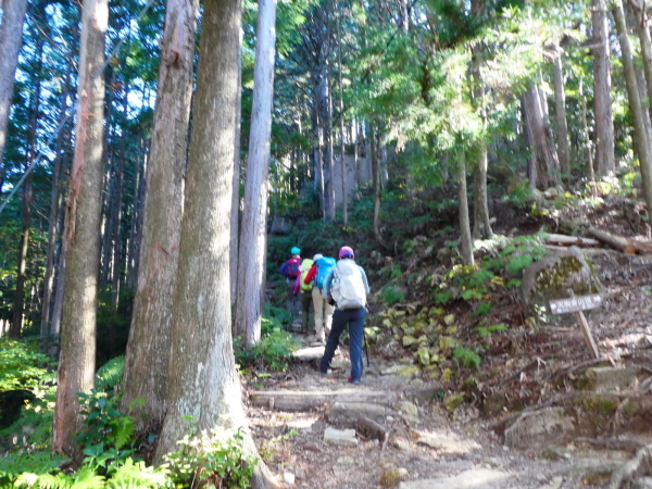 熊野古道を歩く　馬越峠・天狗倉山(522M)  　登頂 編_d0170615_22592481.jpg