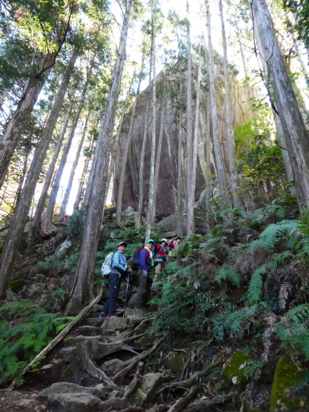 熊野古道を歩く　馬越峠・天狗倉山(522M)  　登頂 編_d0170615_22594374.jpg