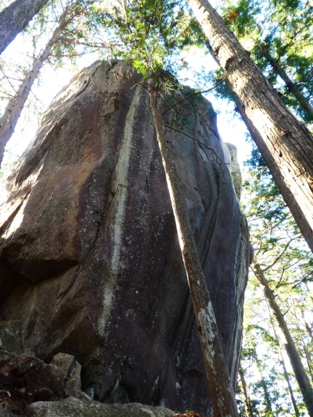 熊野古道を歩く　馬越峠・天狗倉山(522M)  　登頂 編_d0170615_22595058.jpg