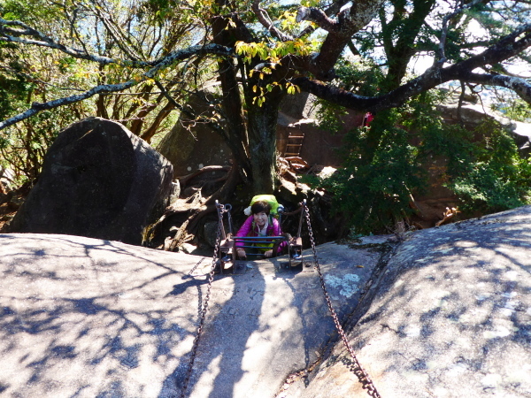 熊野古道を歩く　馬越峠・天狗倉山(522M)  　登頂 編_d0170615_23000053.jpg