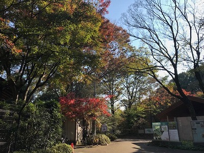 e0373815_14293318.jpg