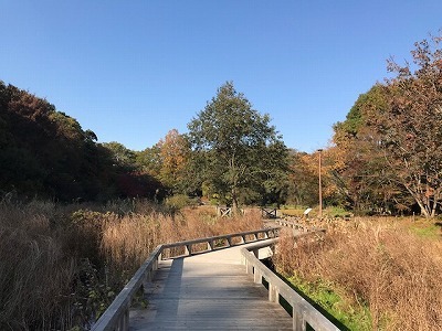 e0373815_14300360.jpg