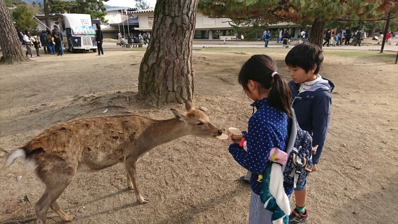 奈良でのんびり日曜日～ならまち食べ歩き_d0028325_18075803.jpg