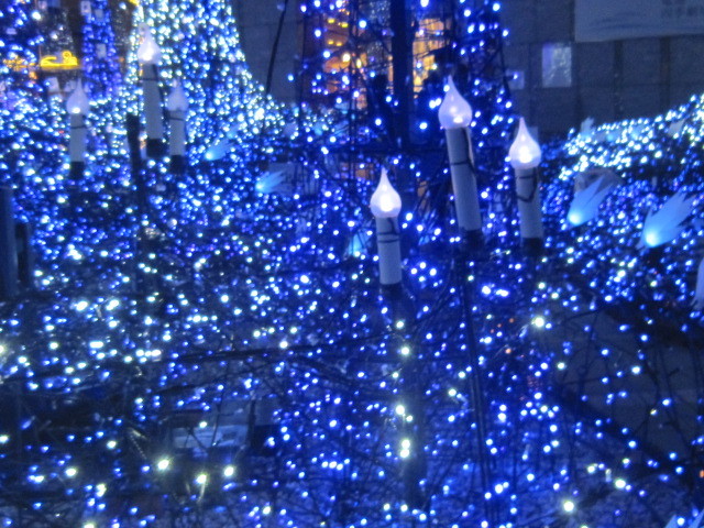 d0162225_22565136.jpg