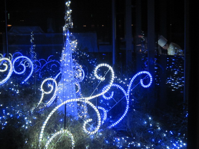d0162225_23000356.jpg