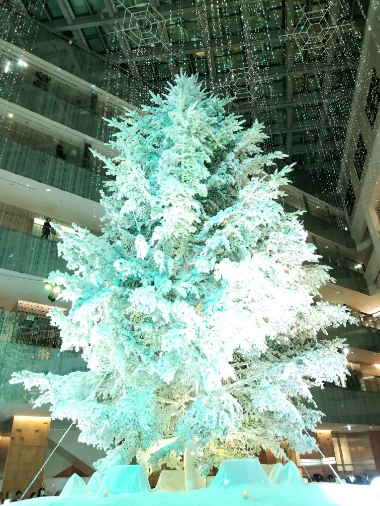 d0162225_23561850.jpg