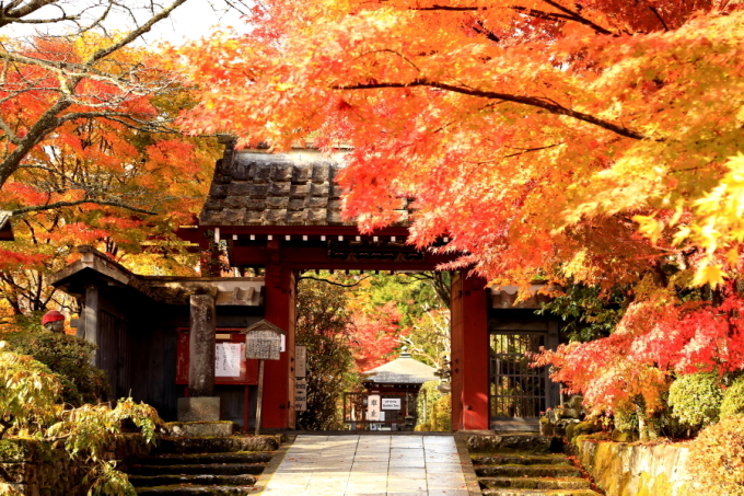 １８年紅葉旅⑤日光その１浄光寺_f0229832_10305944.jpg