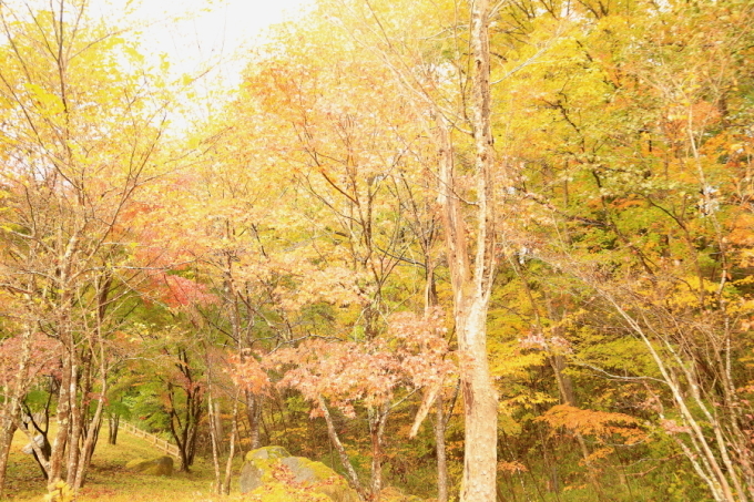 f0229832_10442791.jpg