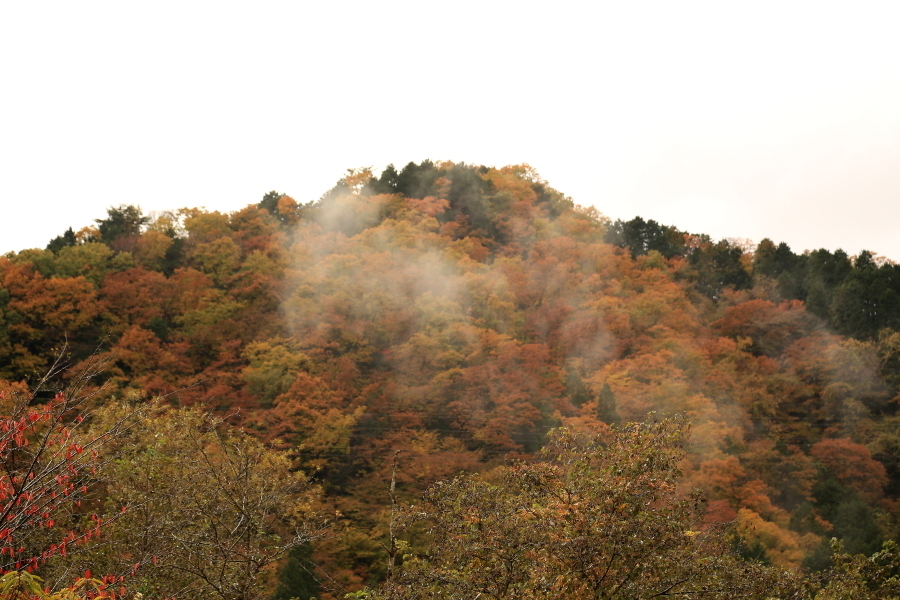 f0229832_10451880.jpg