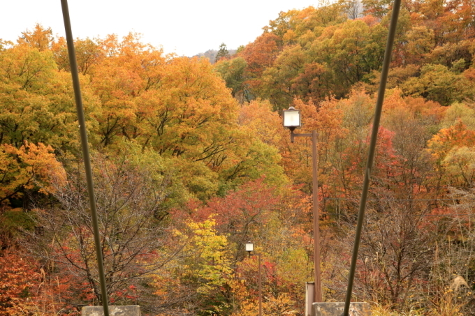f0229832_10453881.jpg