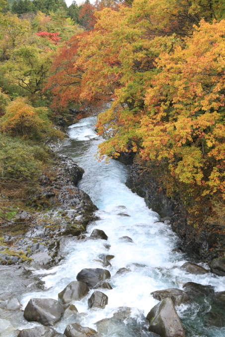 f0229832_10455145.jpg