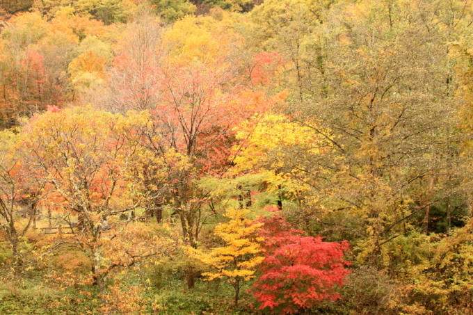 f0229832_10474726.jpg