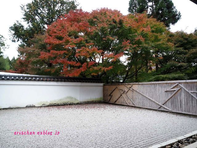 龍吟庵＠２０１８京都の紅葉_f0295238_16092892.jpg