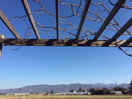 a0272241_15082790.jpeg
