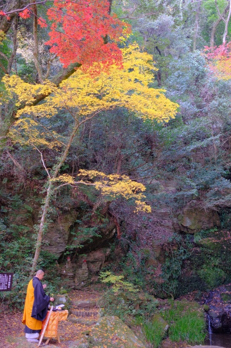  ”2018 紅葉②～瀧塔山 龍蔵寺...11/27tue\"_d0153941_18200937.jpg