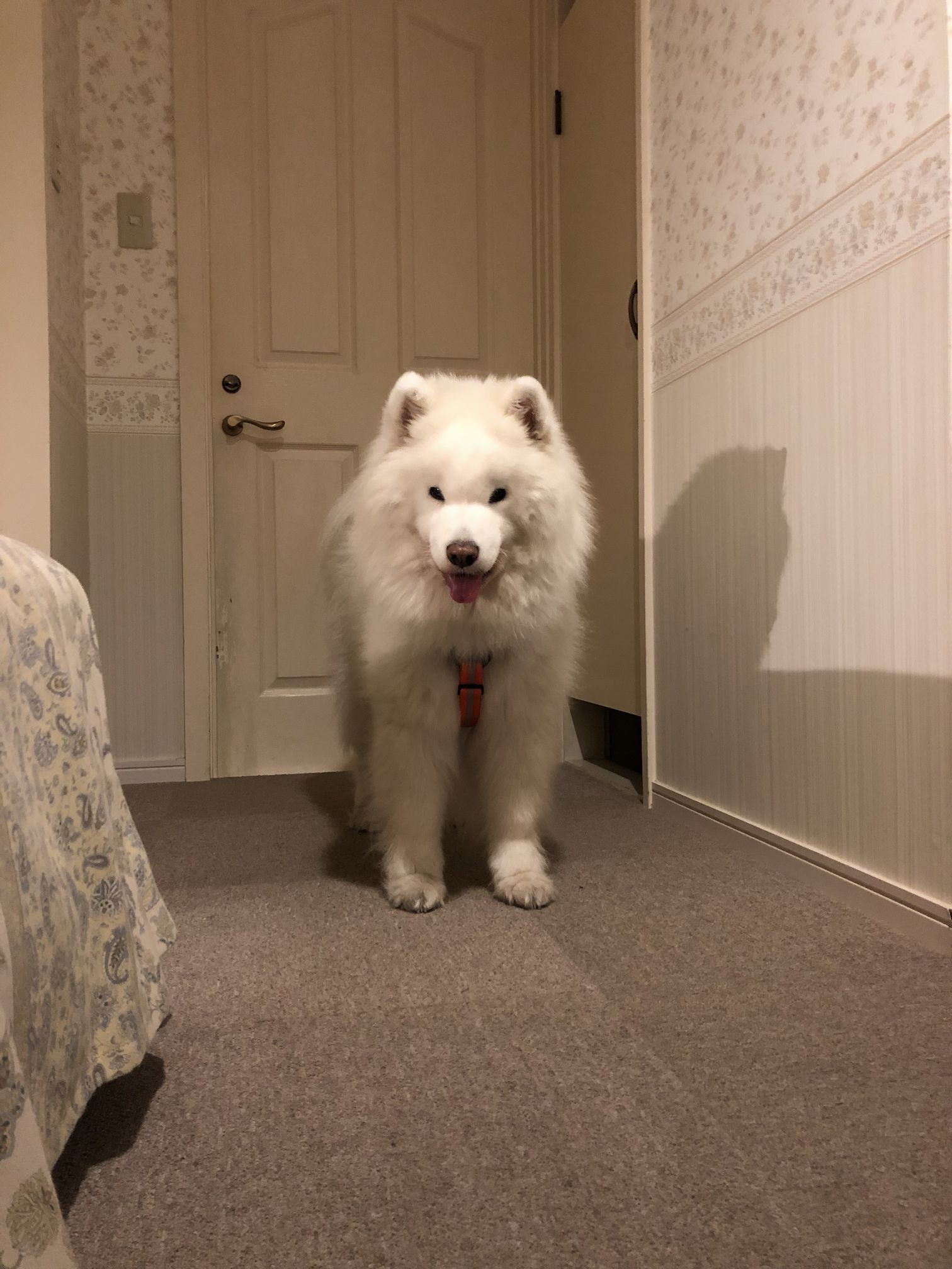 2018年秋 みちのく旅行 その1_f0128542_02144780.jpg