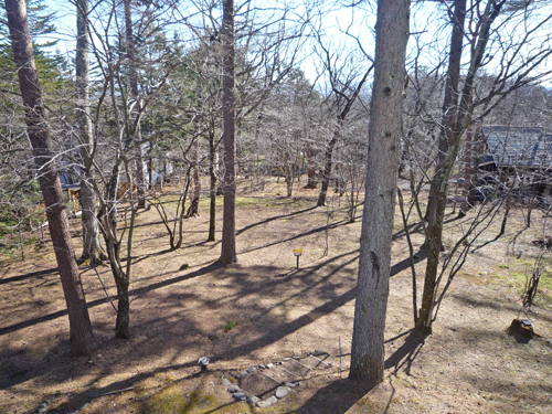 b0045357_13043481.jpg