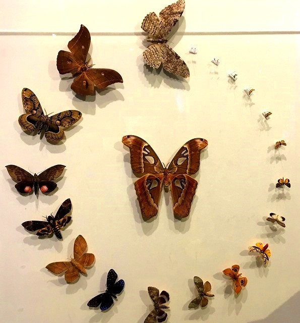 c0119160_20260956.jpg