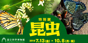 c0119160_20300462.png