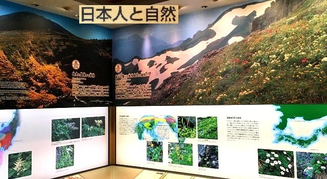 c0119160_22063101.jpg